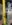length.jpg
