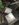 2C6ACDA7-1F2C-4210-AD6D-BA616649BB41.jpeg