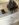 7818F069-6F07-4BD8-85CC-7F645EAE8B5E.jpeg