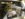 FF41536C-3FB3-46C7-91F8-535177DE906C.jpeg
