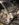 C4BC49E2-DB83-42CA-9092-4C2A5AB67617.jpeg