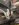 A82957C2-C29E-4250-B88D-457762189BD1.jpeg