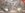backingplatesck13x25nos.jpg backingplatesck13x25nos.jpg