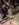 fullsizeoutput_18b1.jpeg