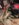 fullsizeoutput_18b2.jpeg