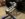 F8A0117A-32F0-43CB-8EA5-EF885D72C77E.jpeg