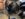 D8FBC068-64E3-4EF4-AE71-A5F3C1C3512C.jpeg