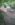 20180819_150315.jpg