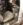 F9547AE4-FAE6-4FC3-BF0F-B537063A5AD1.jpeg