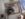 IMG_20190113_103813165[1].jpg