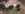 9435026D-7E75-4E82-9552-8B2709358392.jpeg
