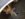DF7F4F54-1BBF-4A19-B497-3F78453F877B.jpeg