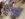 20190115_094628.jpg