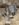 EBF2423C-198D-4946-893A-ABB3B91D5384.jpeg