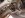 november 06 011.jpg