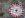 Transfere case 005.jpg