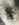 6B8918DB-DE17-4AF1-95D1-9718BB72B161.jpeg