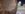 20190120_103439.jpg