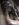 6F957602-BE74-495C-9238-3B1FD93433F4.jpeg