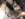 C2821053-18D9-4356-BB8A-4999B8EAFABA.jpeg