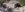 received_2037408142974704.jpeg