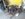 Resized_20190121_164243.jpeg