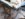Resized_20190121_164911.jpeg