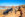 AC5CE904-1FA7-48AD-9D79-5EC7CFE70E7E.jpeg