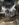 11DEF9EE-051A-42DF-AF03-9AF096642416.jpeg