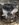74C56ADC-0FEF-4533-8FE2-DED1BAED2E5E.jpeg