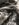 91AD1464-5156-4C32-B227-9A8D68A19EE0.jpeg