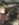 D05B8B11-F198-46E0-9E67-503081B4FFA3.jpeg