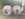8E9D2D9E-0682-41CD-9DBB-A9D85E520FD2.jpeg