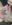 20190129_145250.jpg