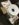 A0CA9C9C-496B-406A-8BD1-74F992C84BF3.jpeg
