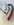 20190202_093844.jpg