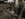 FF9C50A7-7621-4224-A0A2-A91D52476958.jpeg