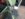 499FFCB6-22DB-4B56-833E-53849A661D93.jpeg