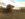 380DEF02-D895-4C8C-B999-2C270C629036.jpeg