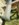 17537FE8-A3B9-4A97-9333-C10FC28AE2EC.jpeg