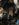 06F94147-42B0-4792-B4AD-03A130C6CDED.jpeg