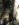 54938E05-A319-446A-A51C-4C0ABBA06641.jpeg