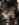 9A08AED7-98CF-406D-BC34-52E438EA8BA8.jpeg