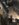 13136495-60E7-4838-BA32-BD388074CC81.jpeg