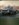 A71539E7-B645-4948-B5C3-75642B00BF13.jpeg