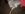 20190210_190113.jpg