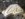 4E1EE7CE-B84C-40DA-BE40-8A956B9BDAFB.jpeg