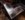 93C20D86-5A65-426E-9213-997C5EFBED99.jpeg