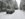 20190211_094608.jpg