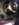 9B6847F9-C471-4E11-958B-9CC85C319828.jpeg